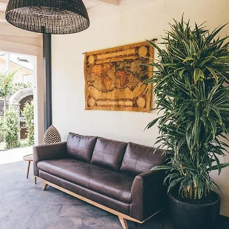 Oda ve Kahvaltı Eksotika