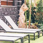 Bed & Breakfast Eksotika 4*